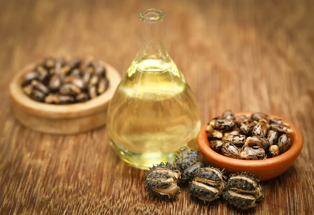 सुंदरता और सेहत, दोनों के लिए फायदेमंद है Castor Oil, इन 6 कारणों से रोजाना करें इस्तेमाल