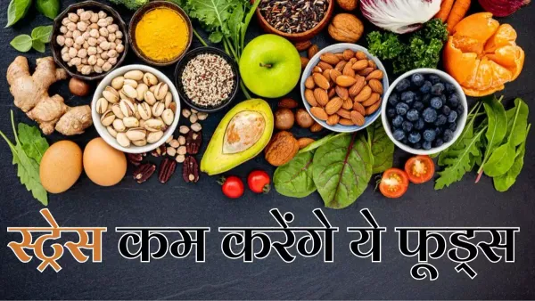 इन 5 चीजों को खाते ही छूमंतर हो जाएगा तनाव! एंजायटी का भी बज जाएगा बाजा, हंसते-खेलते गुजरेगा दिन