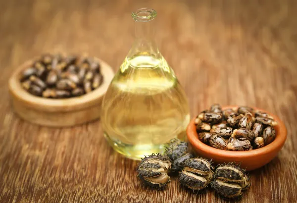 सुंदरता और सेहत, दोनों के लिए फायदेमंद है Castor Oil, इन 6 कारणों से रोजाना करें इस्तेमाल