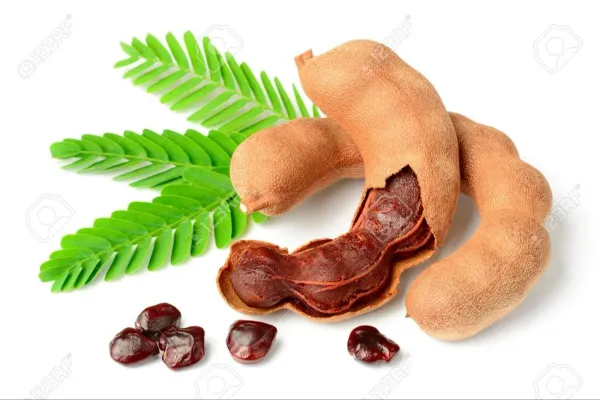 गर्मियों में सेहत का पावरहाउस है यह खट्टा फल! अपच और कब्ज की समस्या से दिलाए राहत, जानिए इसके अनगिनत फायदे